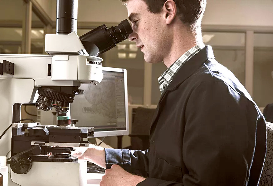 Soporte Técnico y Pruebas